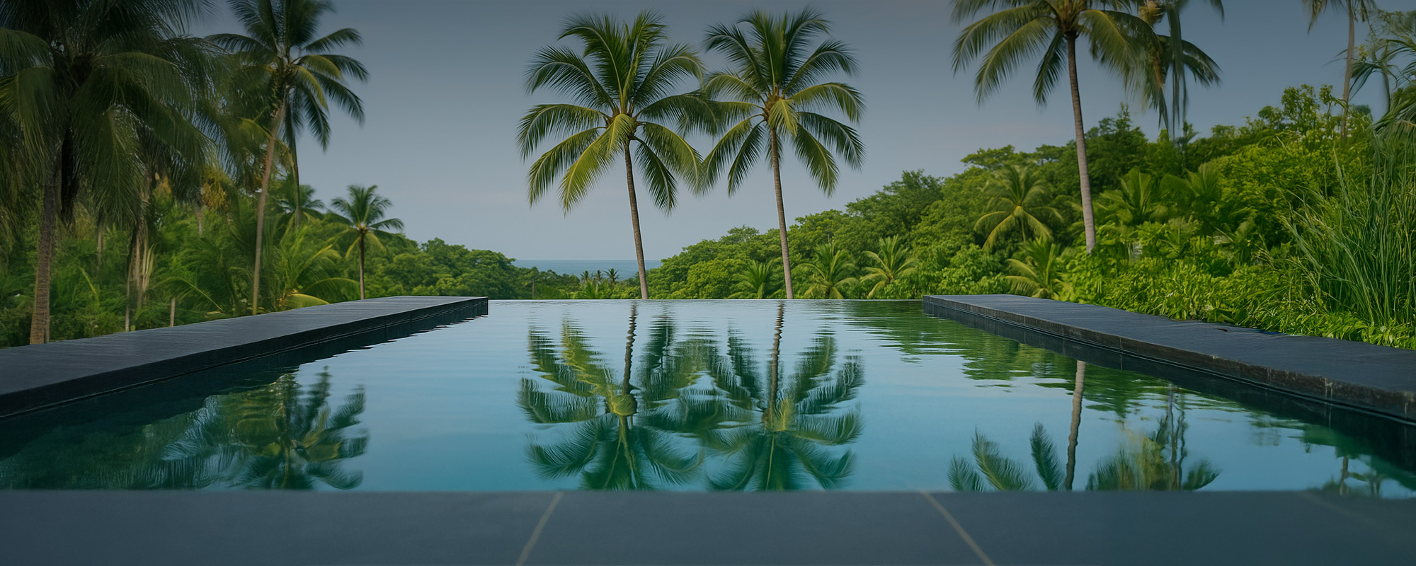Ecopool Infinity Edge Swimming Pool